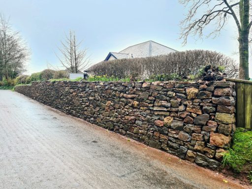 Devonshire drystone wall